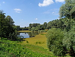 Holtág