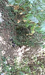 GCttls_20130822123412.jpg