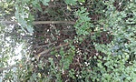 GCttls_20130822123425.jpg