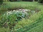 3-nál