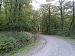 Kanyarog az út