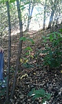 GCNOMI_2013097112026.jpg
