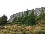 Visszafelé.