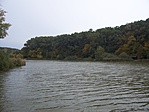 Deseda (1)