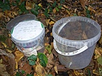 GCzs1 geoláda (1)