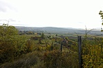 Kilátás