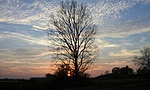 GCHOPP_20131025172139.jpg