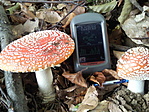 'Mesegombák'