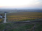 Panoráma