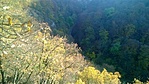 kilátás