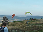 Siklóernyősök