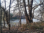 Holt-Tisza