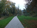 A rendezett park