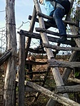 GCorba_20131030150416.jpg