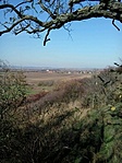 GCPADO_20131031105608.jpg
