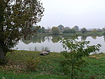 Holtág