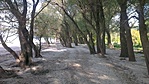 imádnivaló