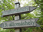 13-as