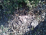 GCdomb_20131019160653.jpg