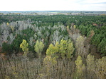 Panoráma a toronyról