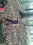 GCarpd_20131023124218.jpg