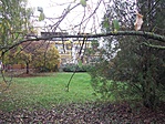 Park