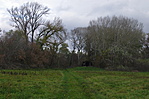 A part felé kanyarodva