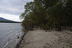 Föveny