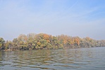 Tisza