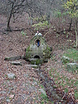 Forrás
