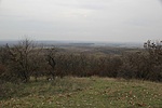 Panoráma