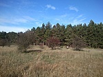 GCURGE_2013119100828.jpg