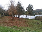 Hársas-tó