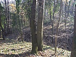 Rejtekhely