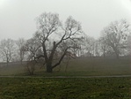 GCBODR_2013121115250.jpg