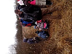 GCURGE_20131214101409.jpg