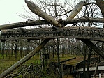 GCbuga_20131227111940.jpg