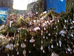 GCVORS_20131227135719.jpg