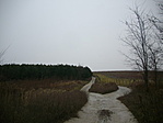 A fenyves mögötti szőlők közül gyönyörű panoráma nyílik Szekszárdra, megéri azt a 200 méter kitérőt. 