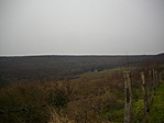 Gurovicai erdészlak. 