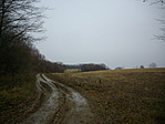 A szembe lévő pici erdő már a szurdok pereme. A jobb széléről visszanézheted honnét is, jöttél. Gyönyörű a panoráma