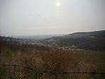 Szőlőhegy. 