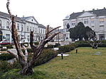 Tóth Kálmán