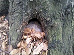 GC2500_20131226131406.jpg