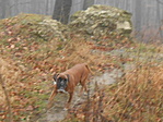 Bonnie a várban :)