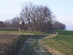 Kilátó