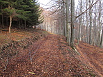 Közeledünk