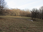 Pogányvári-kaszáló