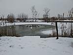 A kötelező kacsás-hattyús felvétel