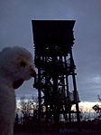 Kilát